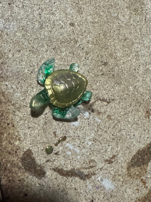 Turtle